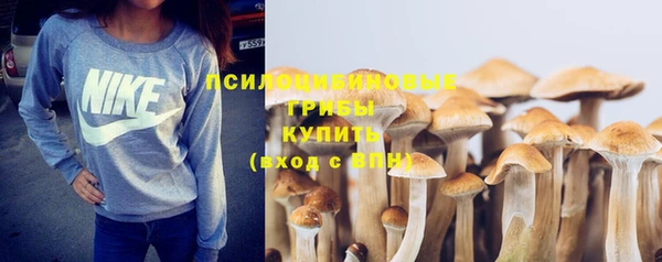 СК Горнозаводск