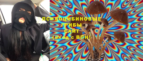 марки nbome Горняк