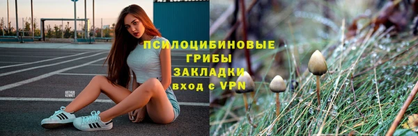 марки nbome Горняк