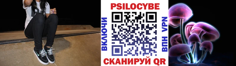 Псилоцибиновые грибы Psilocybe Меленки